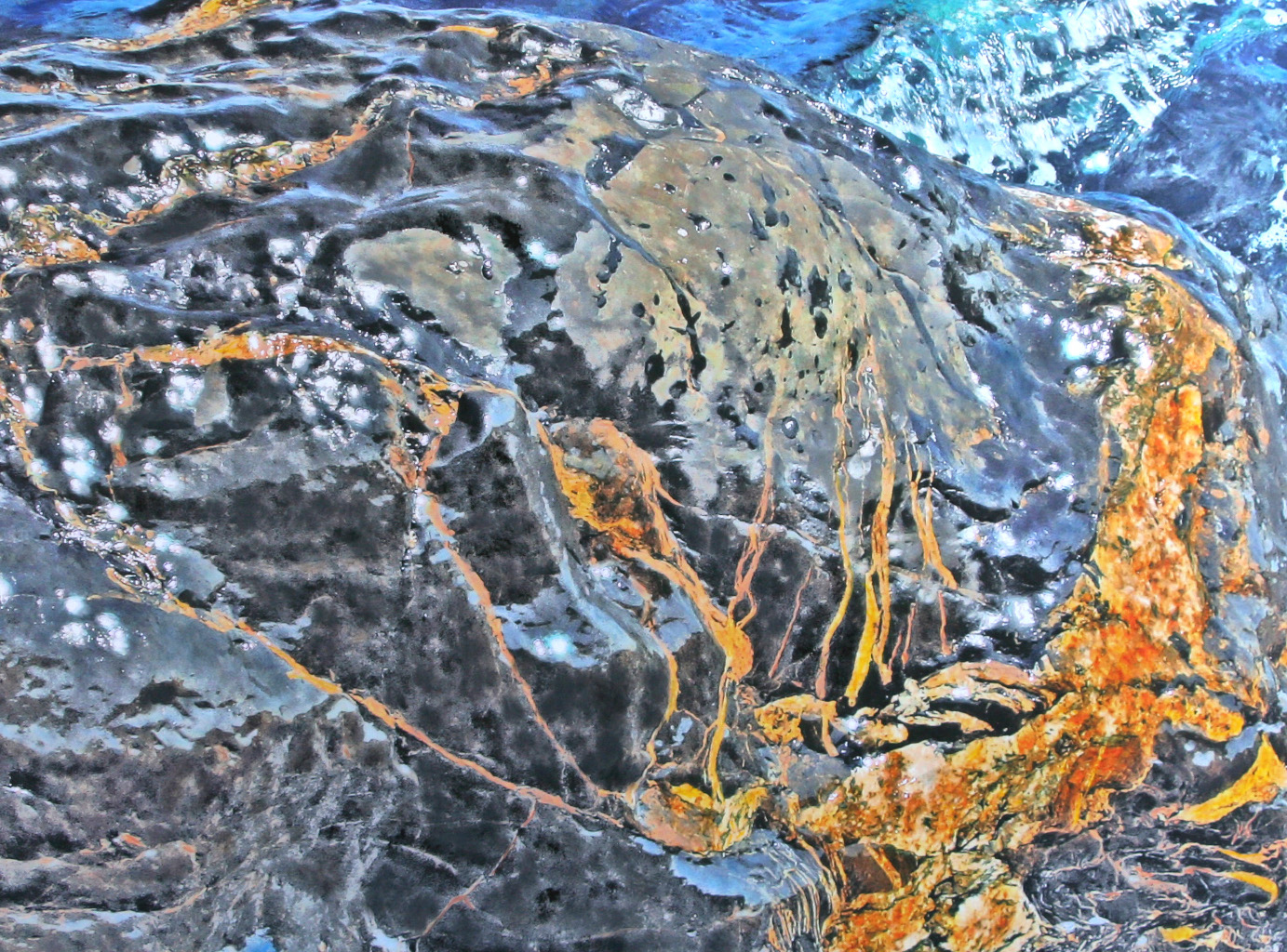 fotobild-kreativ.de